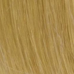 14" Human Hair Extensions by Raquel Welch (10 Piece) | CLOSEOUT | FINAL MARKDOWN