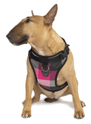 Canada Pooch Everything Harness Water-Resistant Series Pink Plaid Harness for Dogs