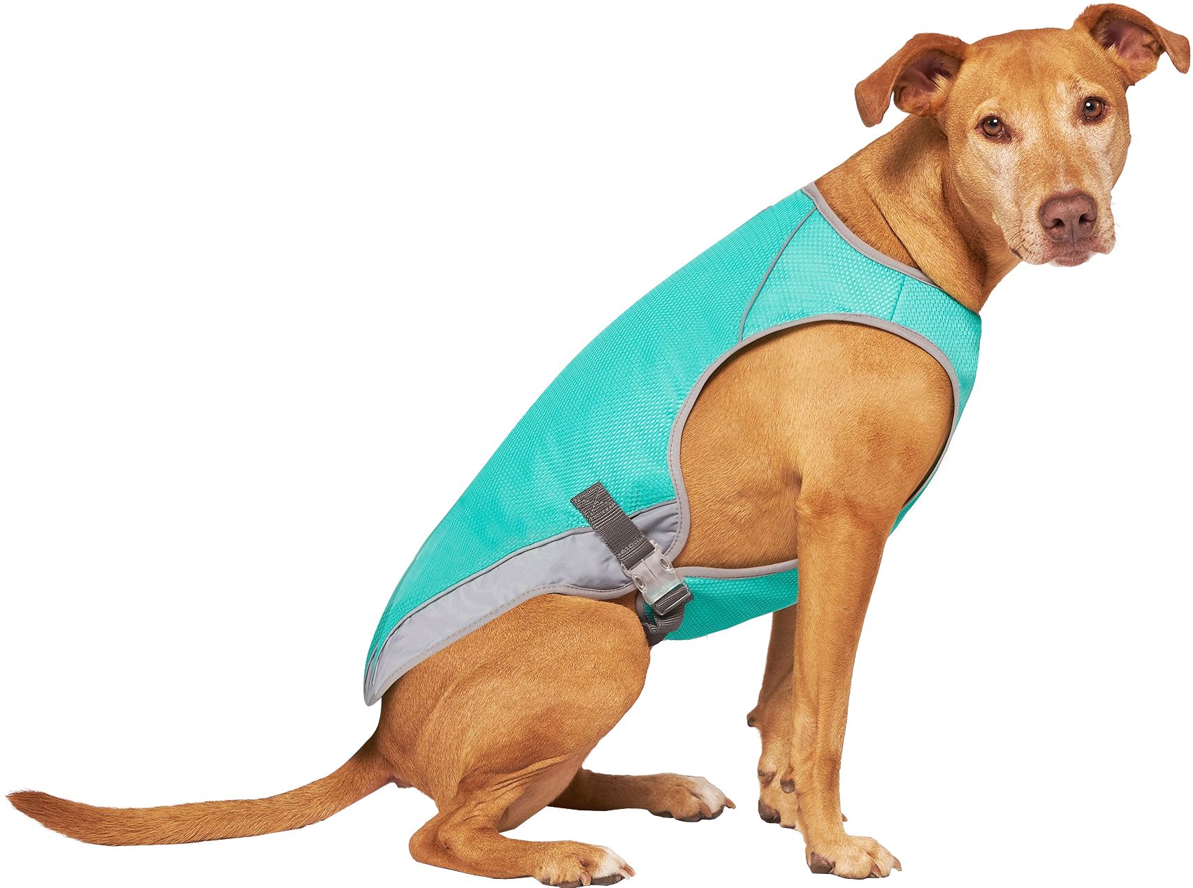 Canada Pooch Special Edition Wet Reveal Smiley Cooling Vest for Dogs