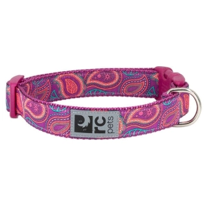 RC Pets Clip Collar for Dogs in Bright Paisley Pattern