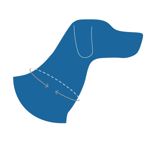 RC Pets Clip Collar for Dogs in Gemstone Pattern