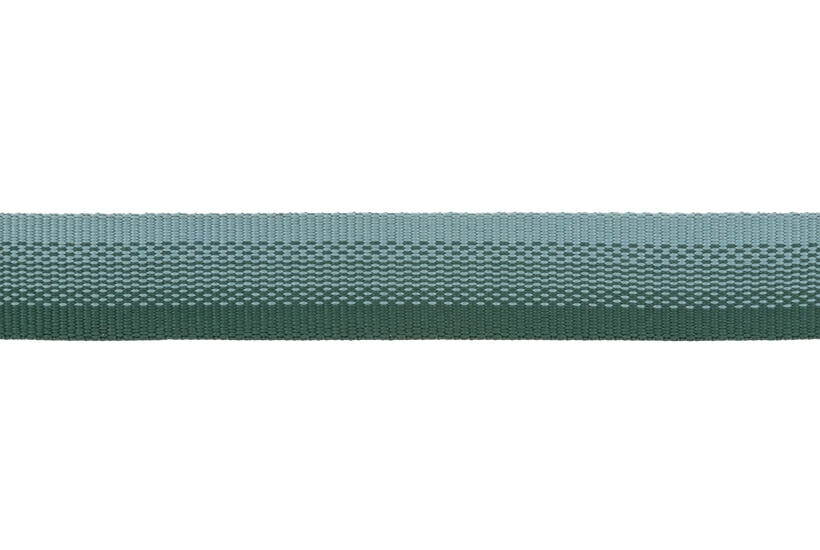 Ruffwear Front Range Dog Collar in River Rock Green