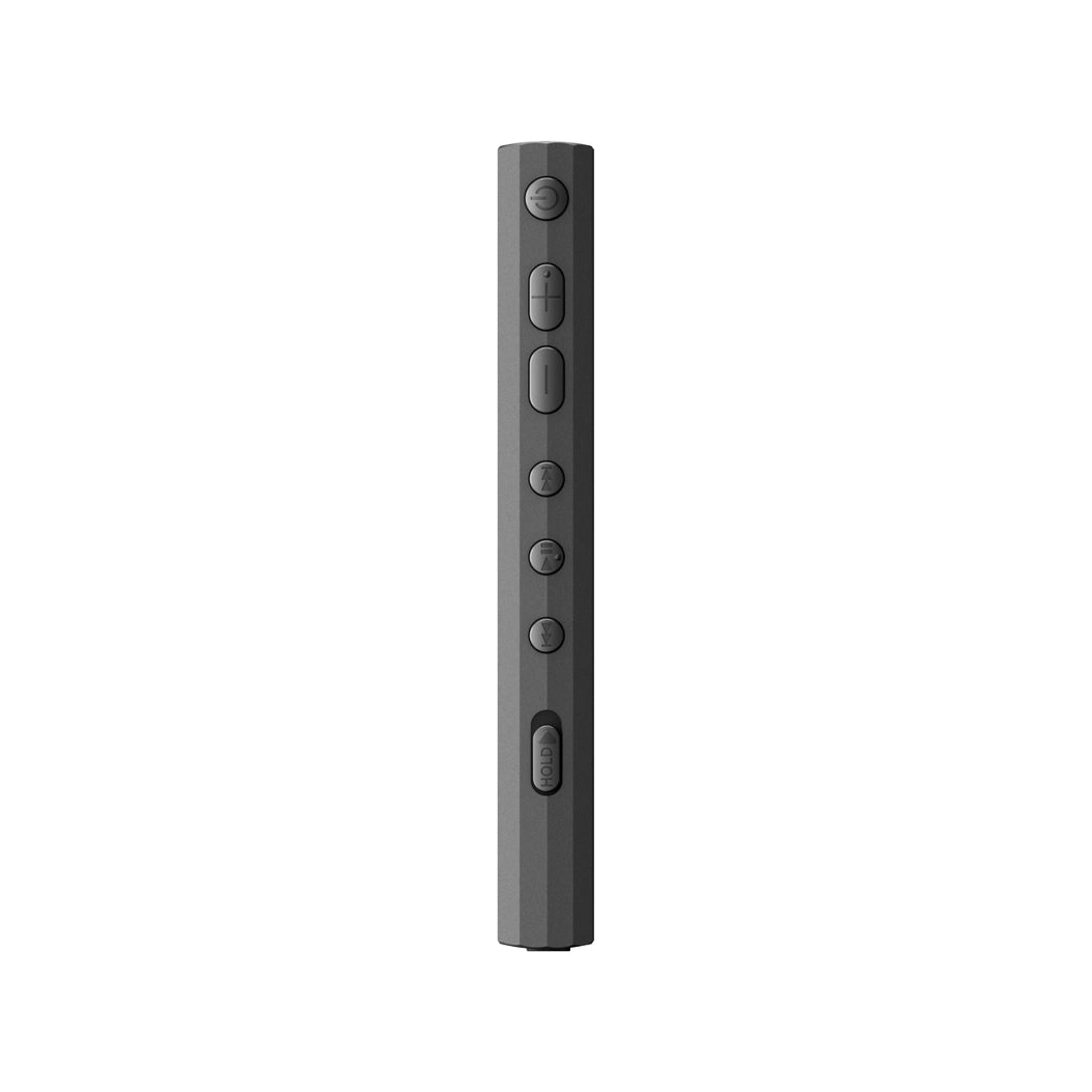 Sony Walkman NW-A306 High-Resolution Digital Music Player
